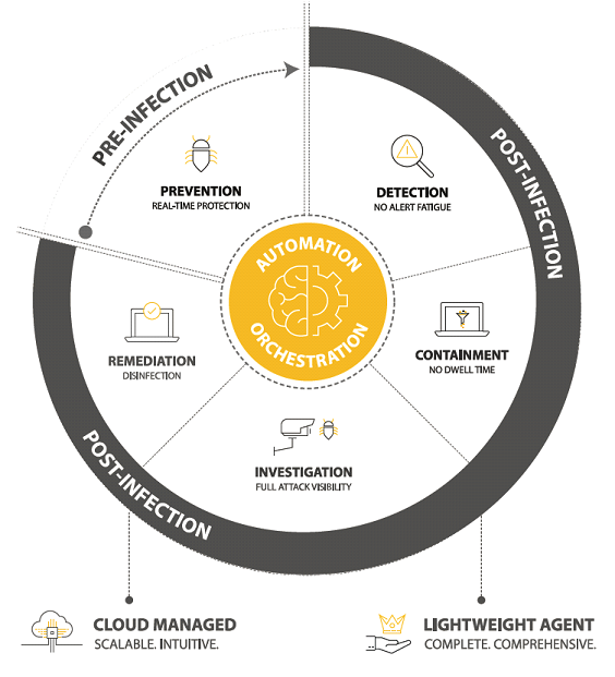 Endpoint Detection